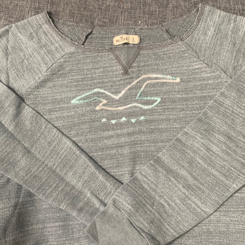 Hollister sweatshirt